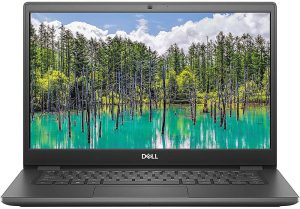 Ноутбук Dell Latitude 3410 (N014L341014GE_UBU)