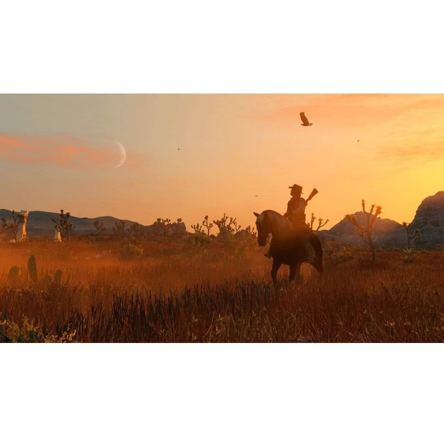 Гра Red Dead Redemption Remastered (PS4)