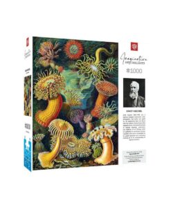 Пазл Imagination: Ernst Haeckel: Sea Anemones/Stworzenia morskie Puzzles 1000 ел.