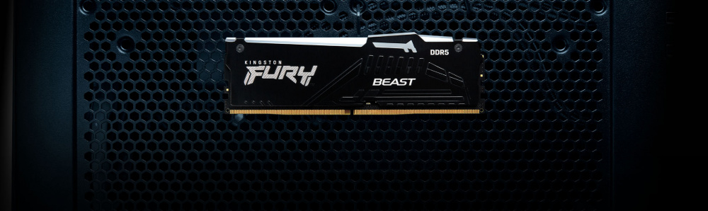 Пам`ять ПК Kingston DDR5 32GB 5200 FURY Beast Білий RGB EXPO (KF552C36BWEA-32)