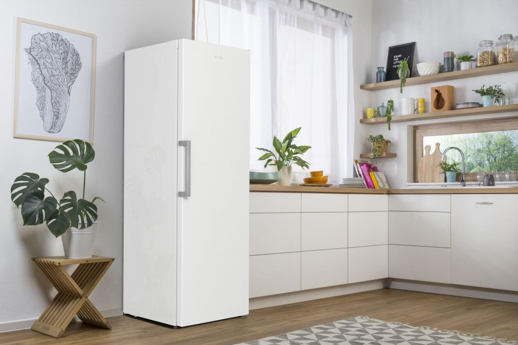 Морозильная камера Gorenje FN619FEW5