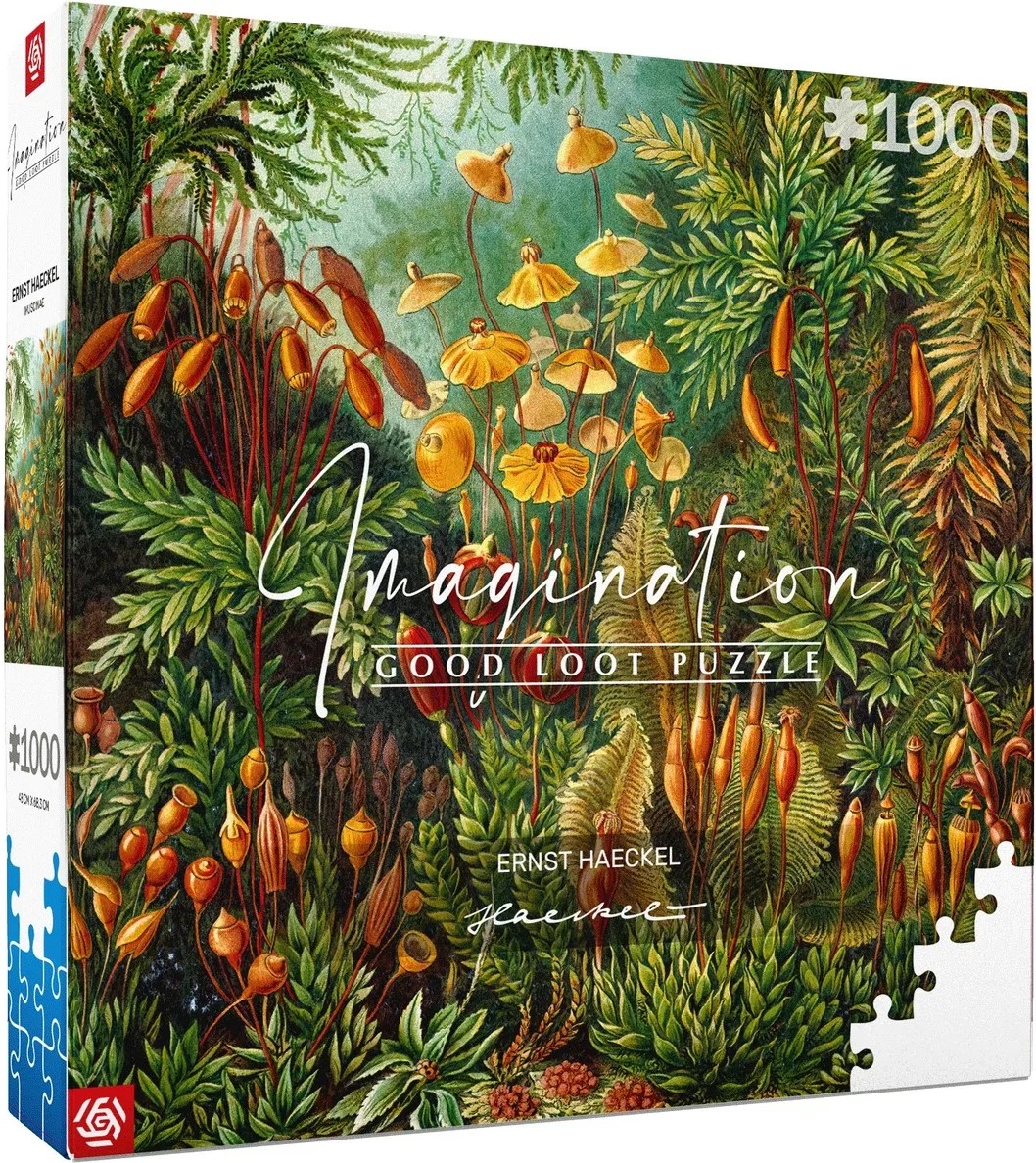 Пазл Imagination: Ernst Haeckel Muscinae Puzzles 1000 ел.