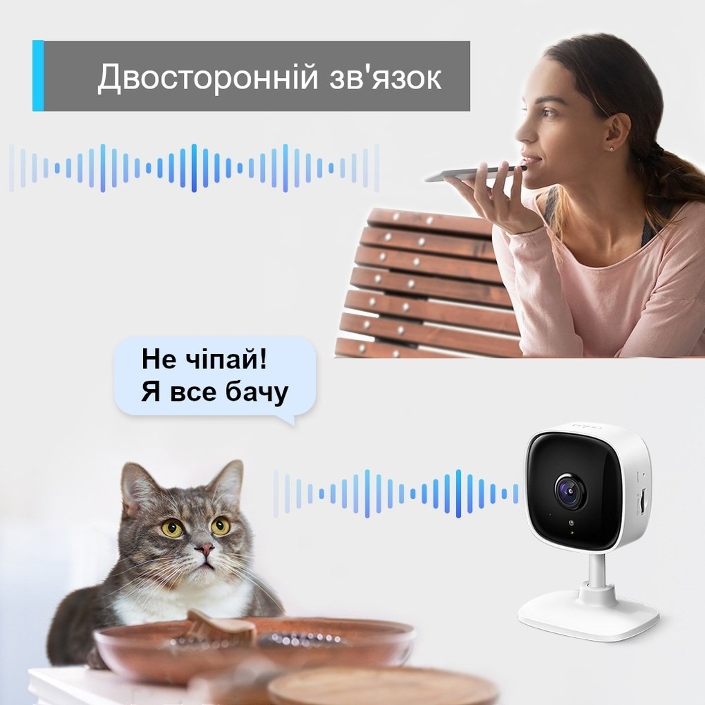 IP-камера TP-LINK Tapo TC60 FHD N300 microSD motion detection