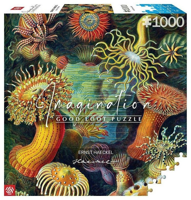 Пазл Ernst Haeckel: Sea Anemones/Stworzenia morskie 1000 ел. (5908305244943)