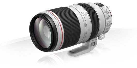 Объектив Canon EF 100-400 мм f/4.5-5.6L IS II USM (9524B005)