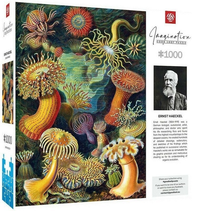 Пазл Ernst Haeckel: Sea Anemones/Stworzenia morskie 1000 ел. (5908305244943)