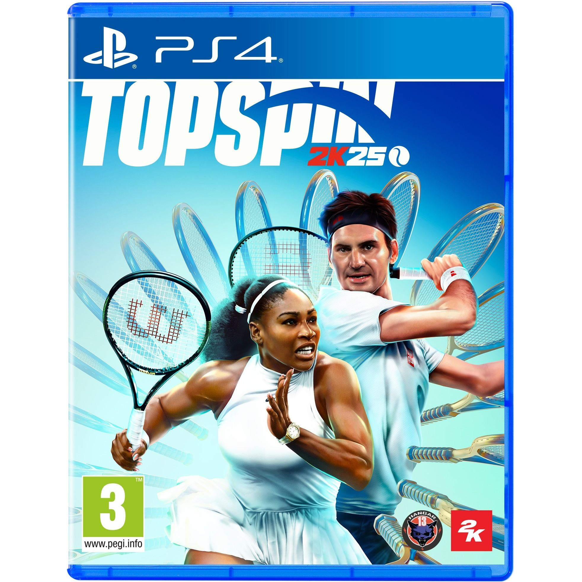 Игра TOPSPIN 2K25 (PS4)